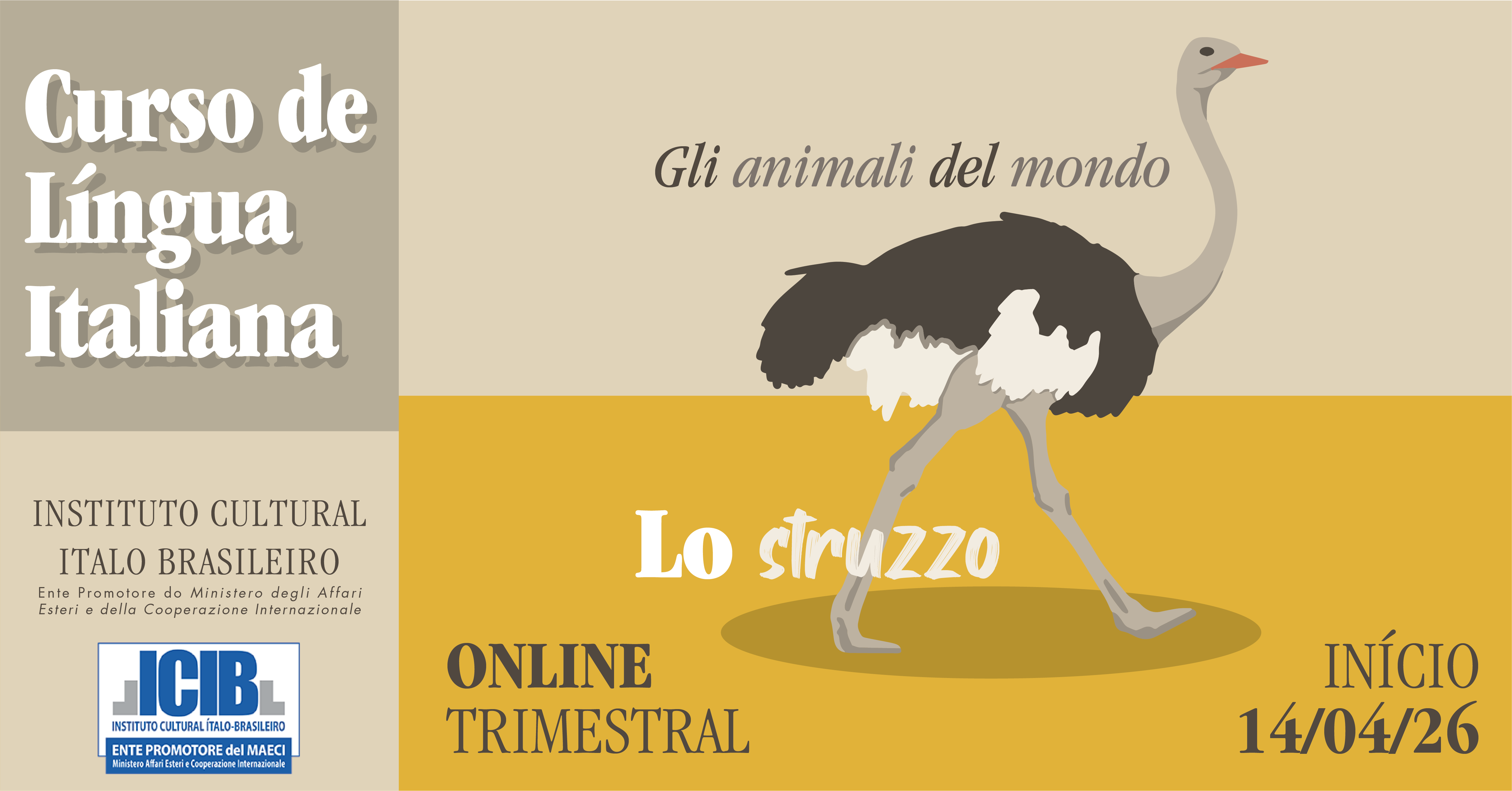 Promoção de desconto para iniciantes